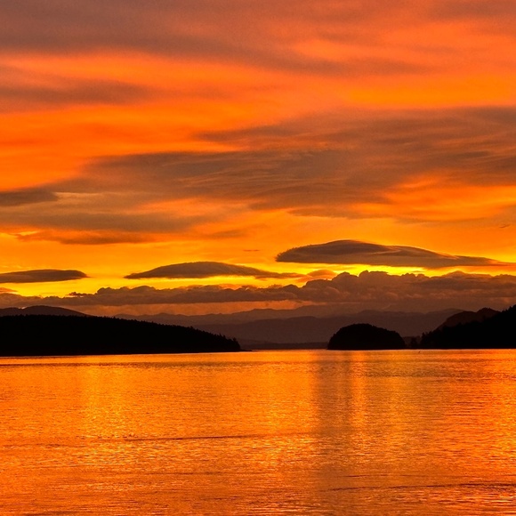 Meet your Posher, Laura - Picture 1 of 1